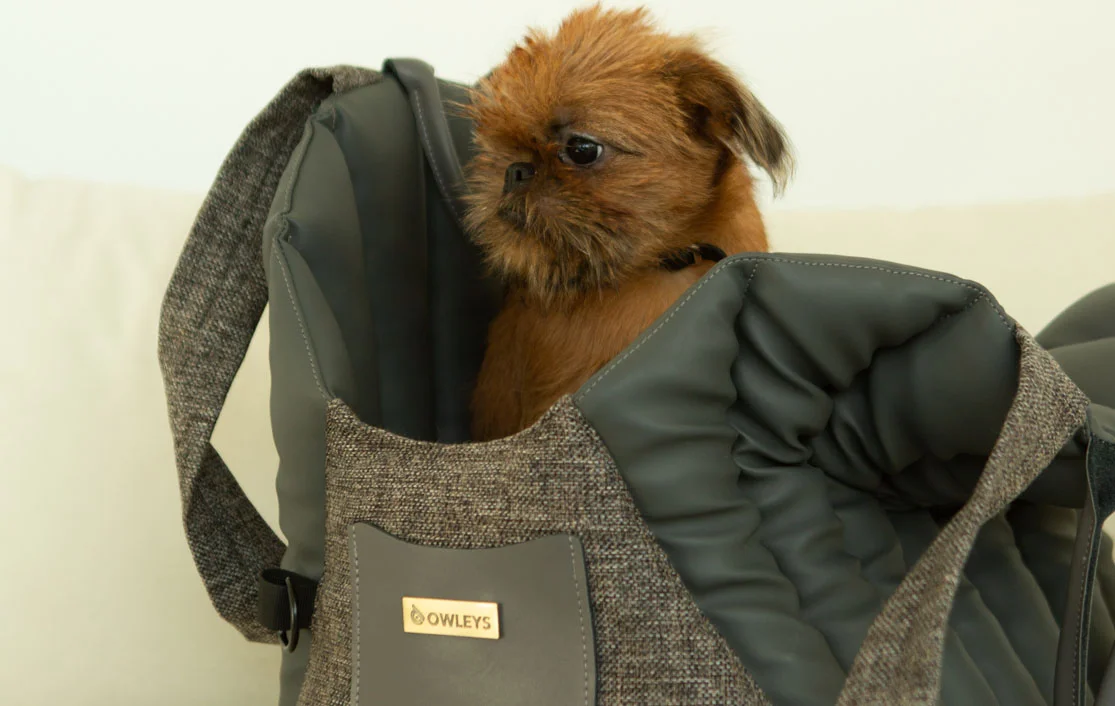 Mazda3 Dog Carrier Car Seat for Miniature American Shepherd